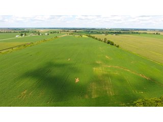 Property photo 2 - LAND AUCTION - 84+/- ACRES IN RUSH COUNTY, INDIANA